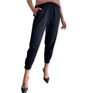 Aritzia Babaton Dexter Pull On Pants